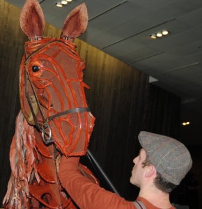 Warhorse - 16