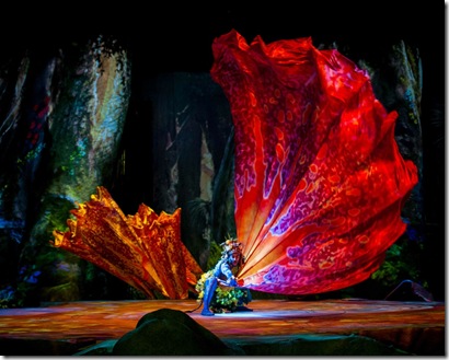 Cirque du Soleil prestents TORUK-photo Errisson Lawrence